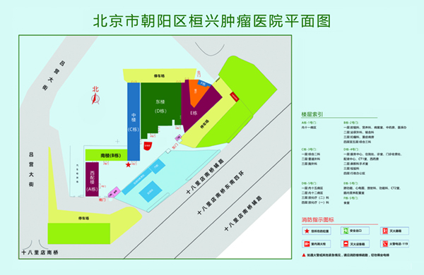 插逼网站北京市朝阳区桓兴肿瘤医院平面图